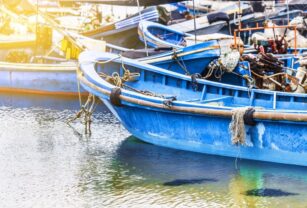 pesca-sostenible