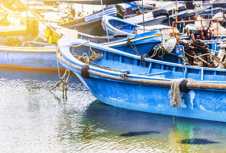 pesca-sostenible