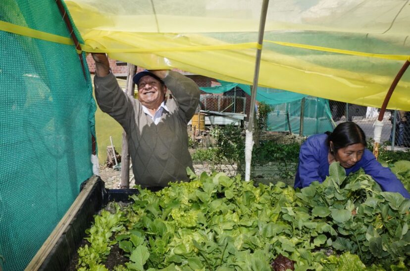 "Awichas", el huerto urbano manejado por abuelos aimaras en Bolivia