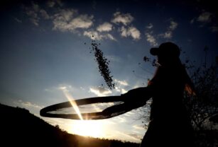 Brasil aumenta su proyección de cosecha récord de granos para 2023