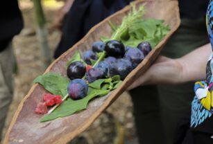 El "bush tucker" aborigen, la nueva tendencia chic de la cocina australiana