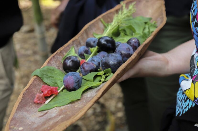El "bush tucker" aborigen, la nueva tendencia chic de la cocina australiana
