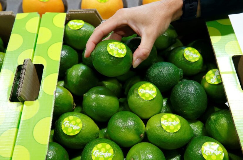 Greenpeace denuncia pesticidas vetados en UE en limas procedentes de Brasil