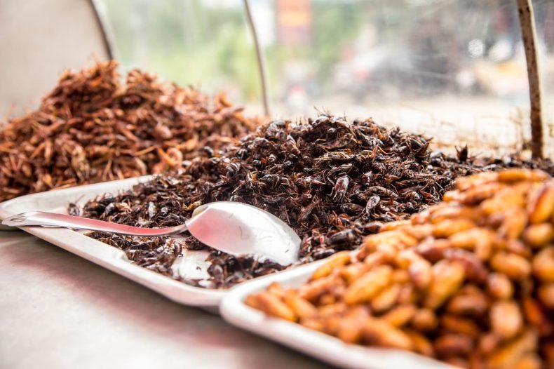 Insectos comestibles