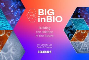 Programa-de-startups
