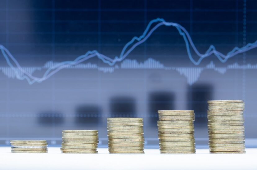 actividad económica