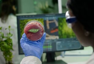 La fabricación, el desarrollo y la ampliación de procesos de proteínas alternativas requiere un grupo de profesionales especializados