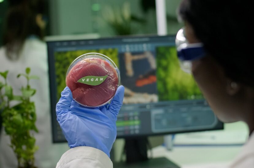 La fabricación, el desarrollo y la ampliación de procesos de proteínas alternativas requiere un grupo de profesionales especializados