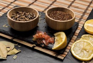 proteínas-de-insectos(1)