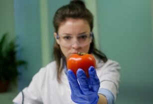 tomates enriquecidos