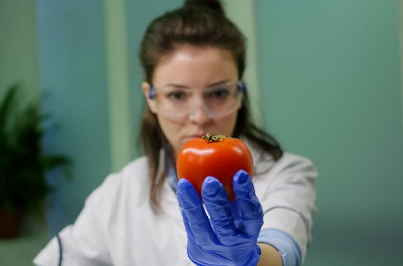 tomates enriquecidos