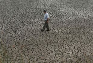 América Latina, el Caribe y la UE se alían para una "transición verde y justa"