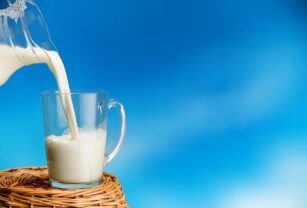 La leche es considerada uno de los alimentos más completos que existen
