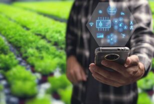Expertos-piden-a-Latinoamerica-mas-inversion-tecnologica-para-la-agricultura