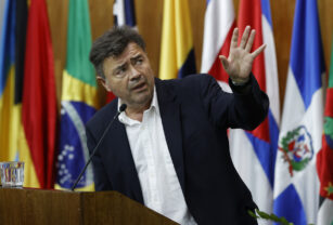 La gripe aviar afecta a menos del 1 % de la industria avícola en Chile