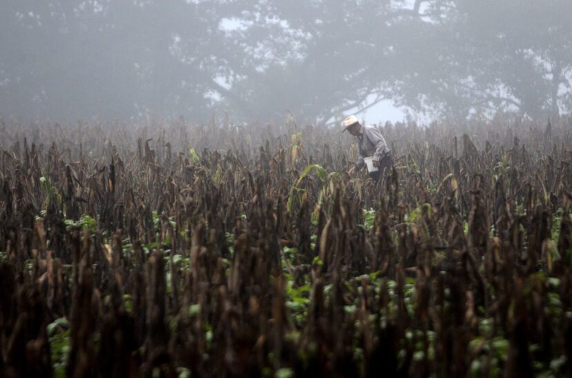 Las temperaturas mundiales pueden llegar a niveles sin precedentes en los próximos 5 años