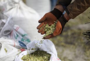 Rumanía recibe 30 millones de CE para compensar pérdidas por cereal ucraniano