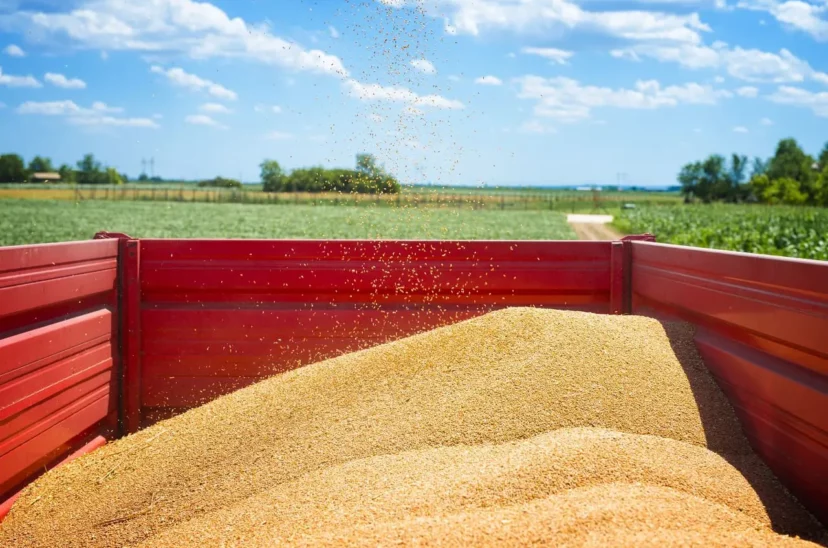 Rusia advierte de que se complica el cumplimiento del acuerdo del grano