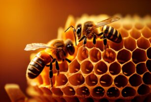 Bajo el lema “Compromiso con las abejas: por una producción agrícola respetuosa de los polinizadores” celebran el Día Mundial de las Abejas