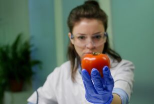 seguridad alimentaria