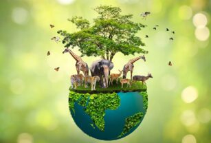 cuidar de la biodiversidad