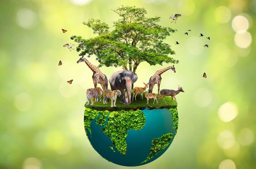 cuidar de la biodiversidad