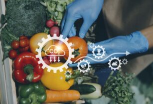 descarbonización-desperdicio-de-alimentos