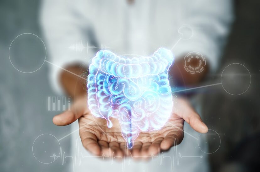 salud-digestiva-principal