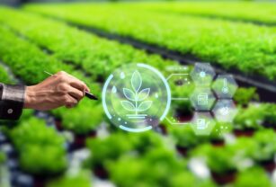 sector-agroalimentario