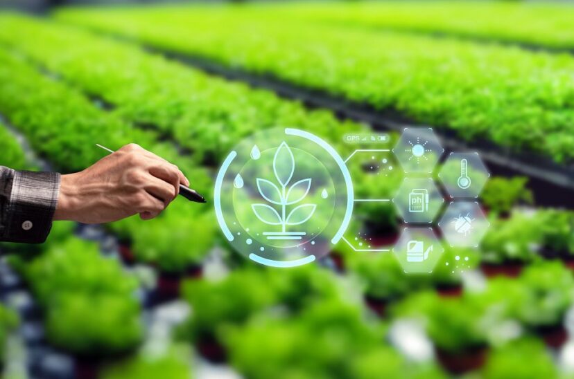 sector-agroalimentario