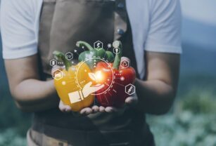 trazabilidad-alimentaria