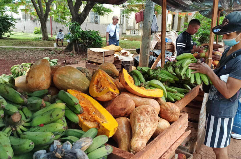 Cuba vuelve a prorrogar la importación no comercial de básicos sin aranceles