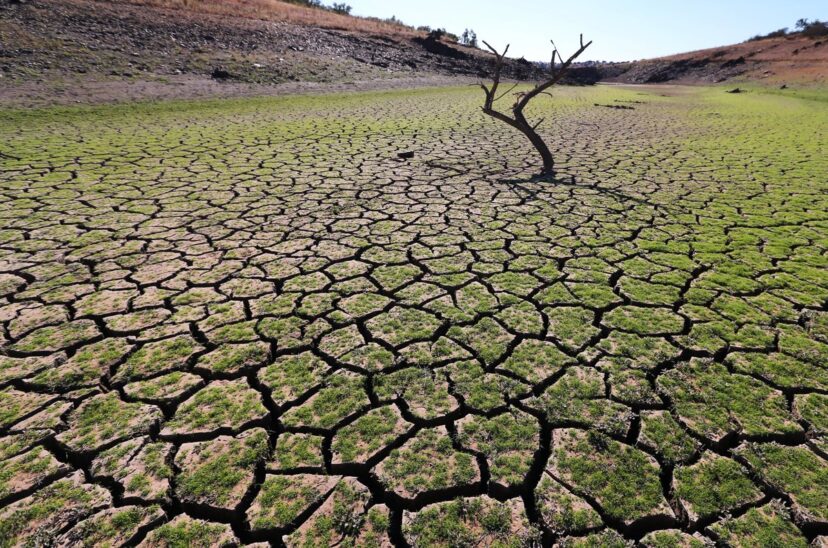Banco Mundial pide a los países redireccionar subsidios para afrontar la crisis climática