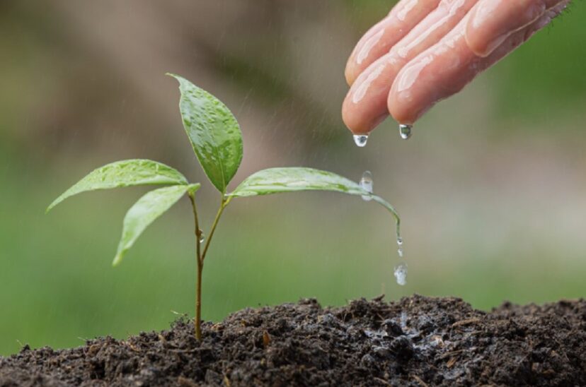 Kilimo-agua-agricultura