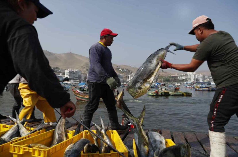 Las expectativas sobre la economía de Perú auguran varios años difíciles