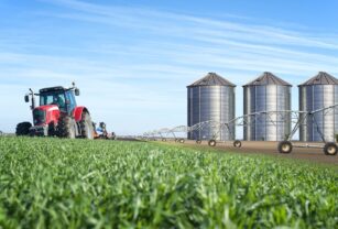 México alcanza superávit agroalimentario de 2 mil 997 millones de dólares