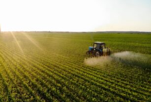 Ministros de Agricultura de la UE esperan tratar el martes el pacto comercial con Mercosur