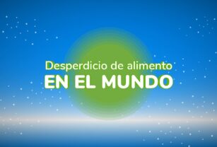 desperdicio