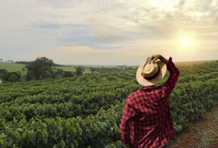 agricultores