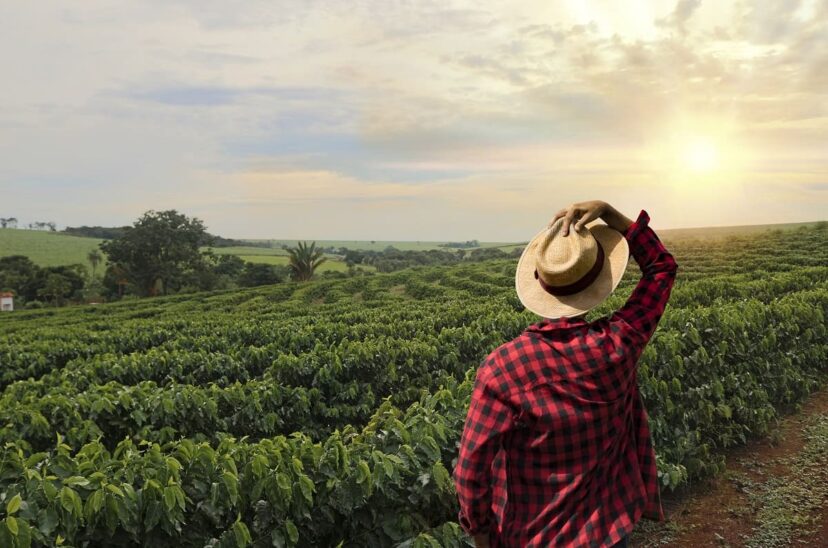 agricultores
