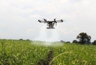 agricultura-e-inteligencia-artificial