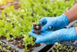 alianza-sector-agroalimentario