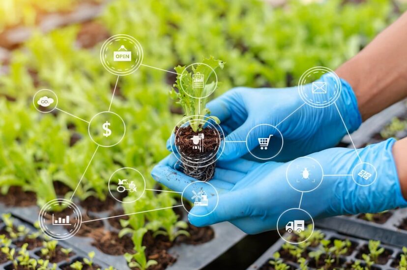 alianza-sector-agroalimentario