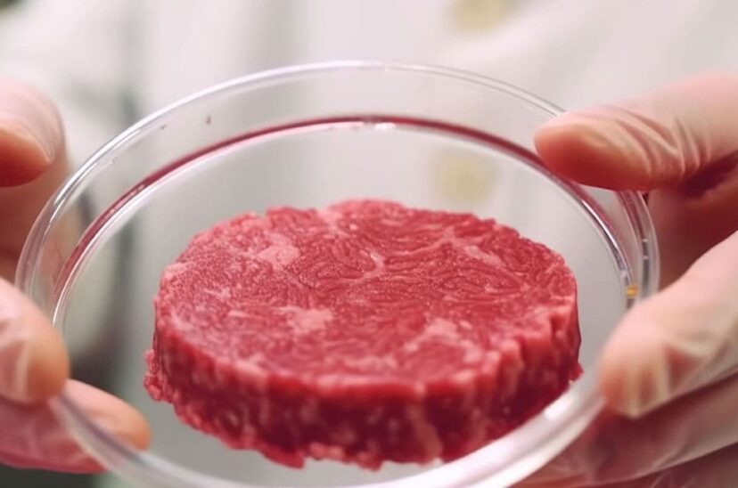 carne cultivada
