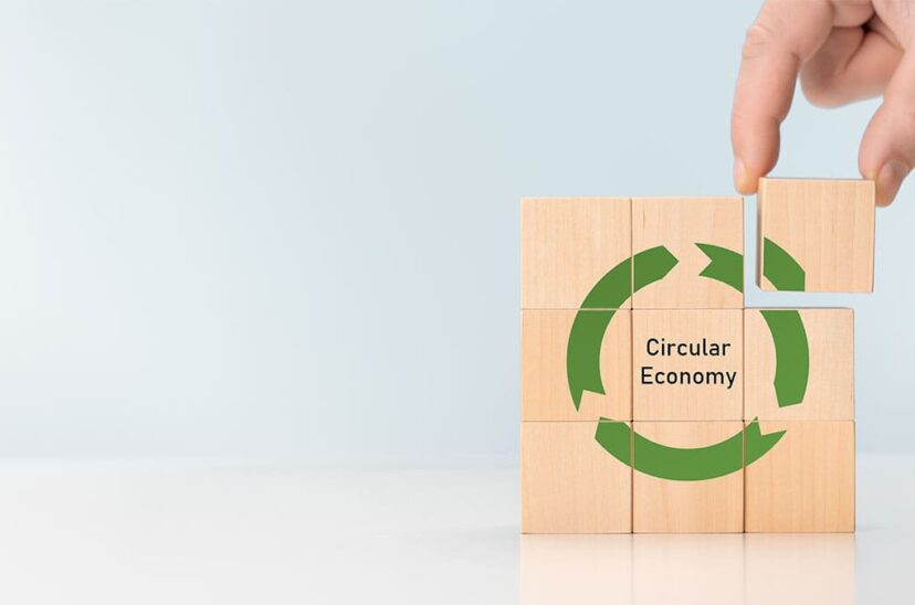 economia
