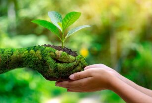 medio ambiente