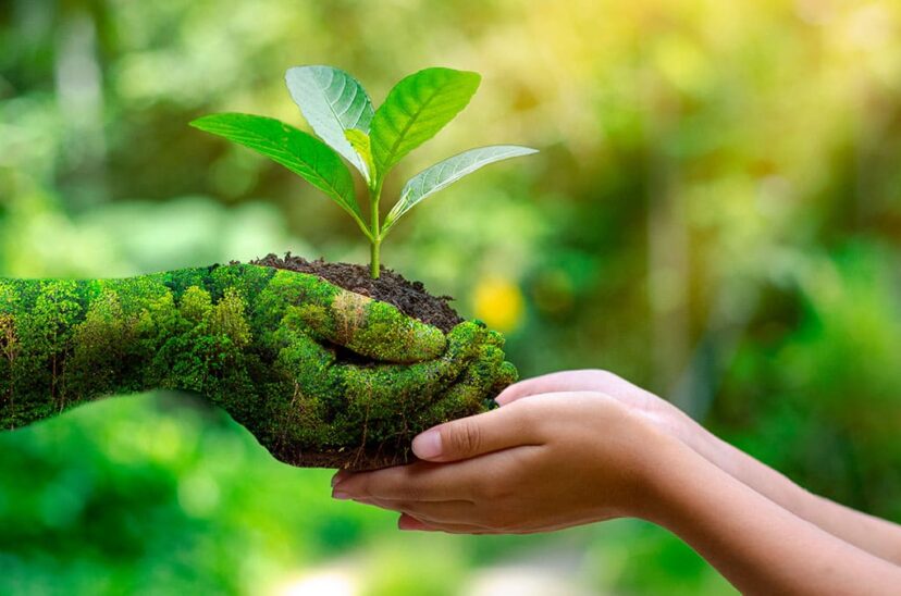 medio ambiente