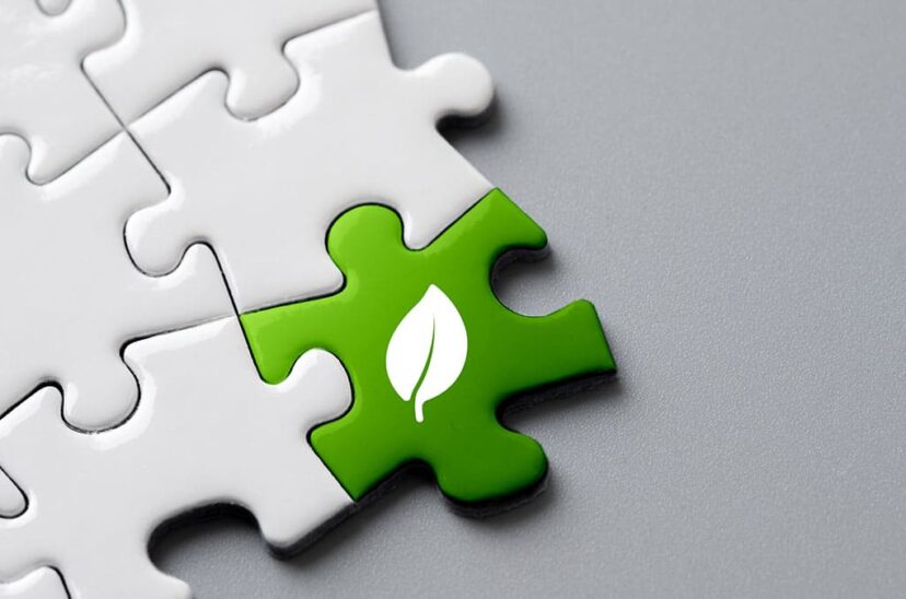 pacto verde