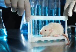 Inteligencia artificial podría eliminar experimentos científicos en animales