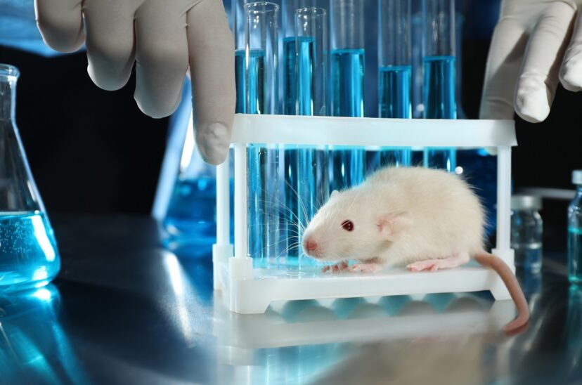 Inteligencia artificial podría eliminar experimentos científicos en animales